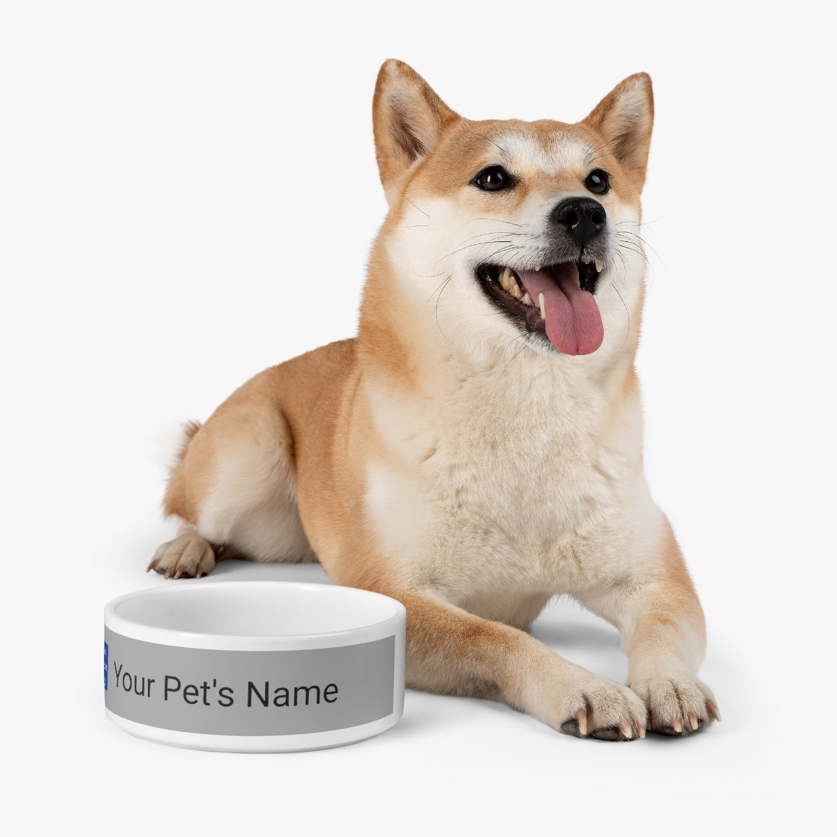 Customizable Pet Bowl