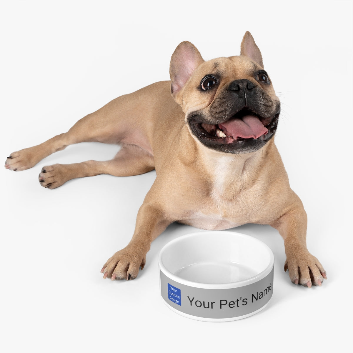 Customizable Pet Bowl