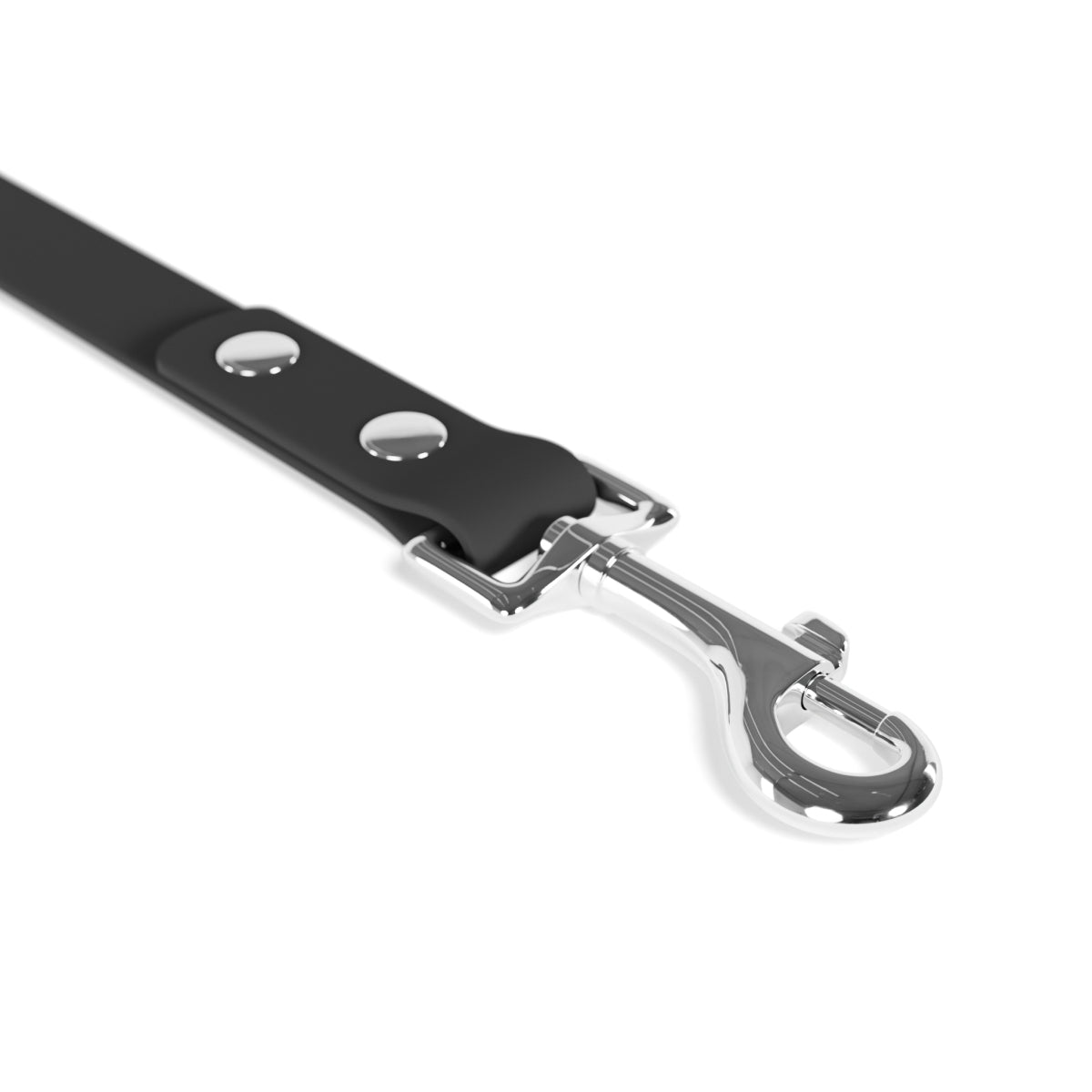 Customizable Pet Leash