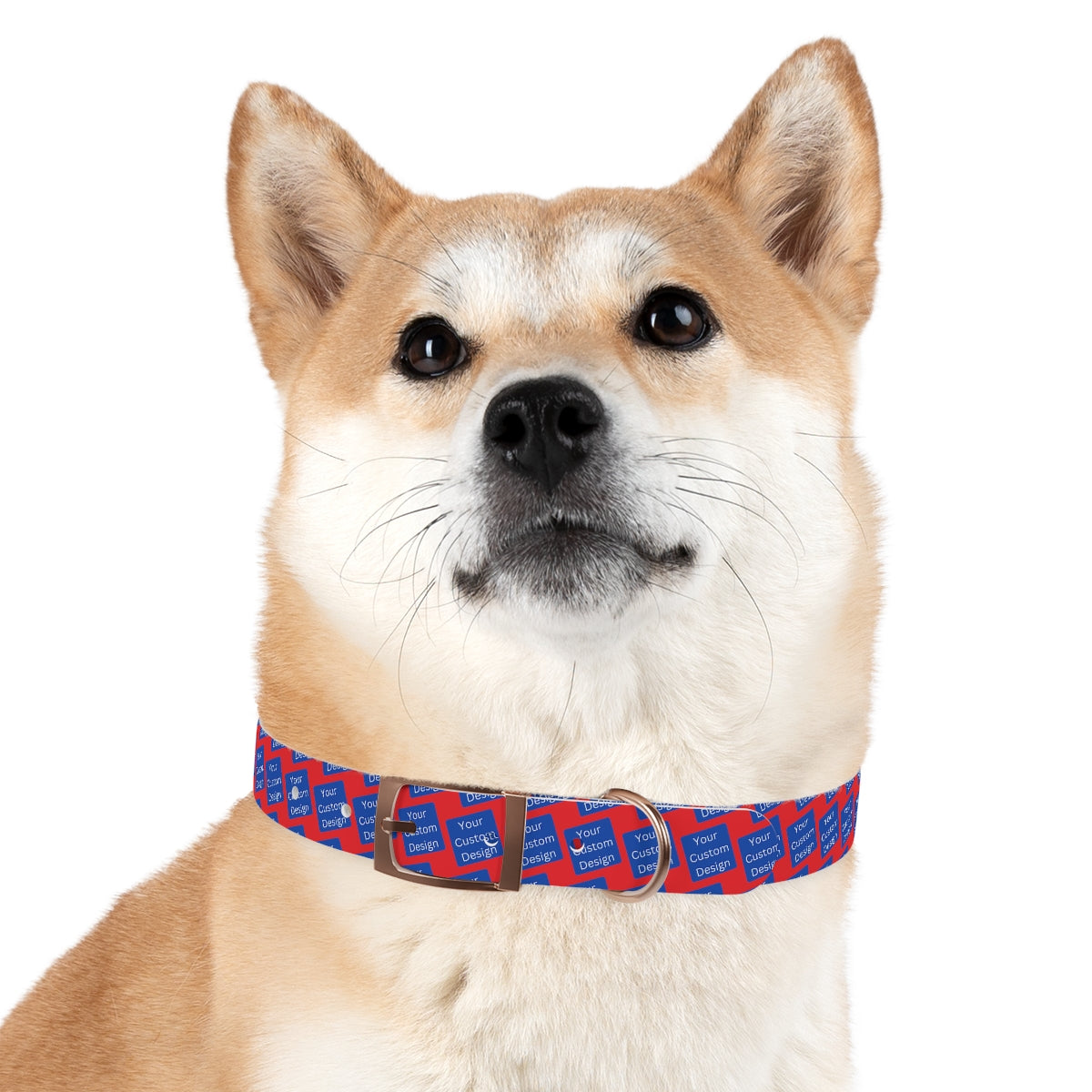 Customizable Dog Collar