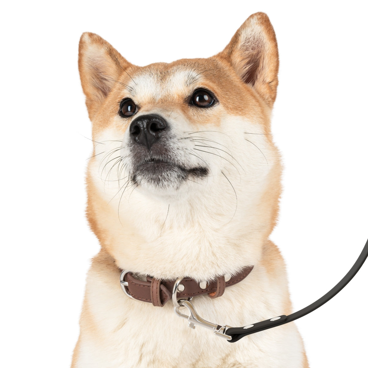 Customizable Pet Leash