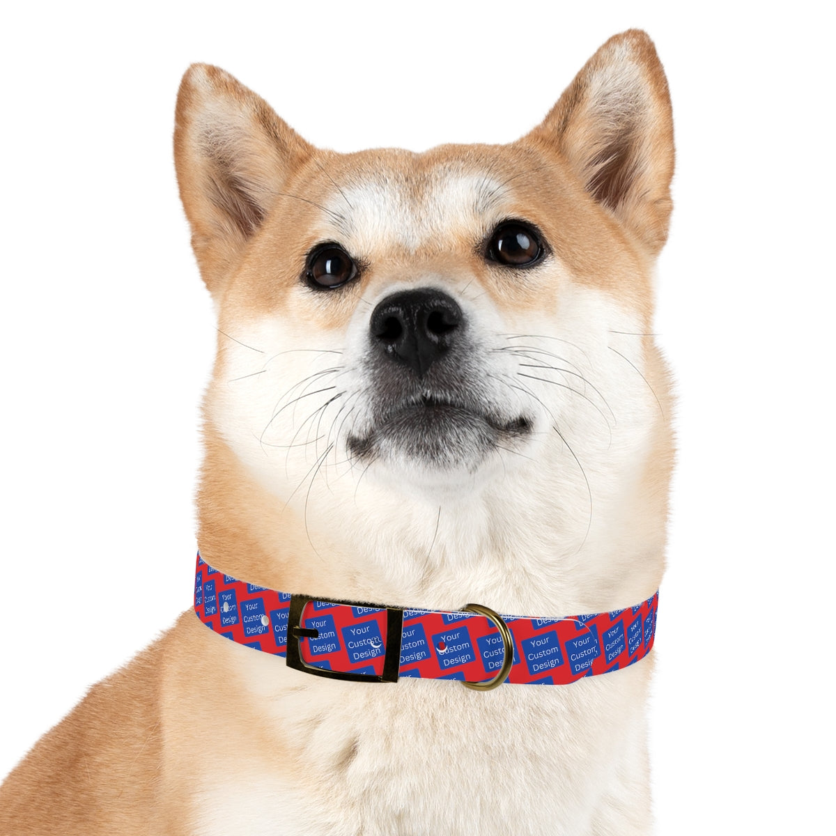 Customizable Dog Collar