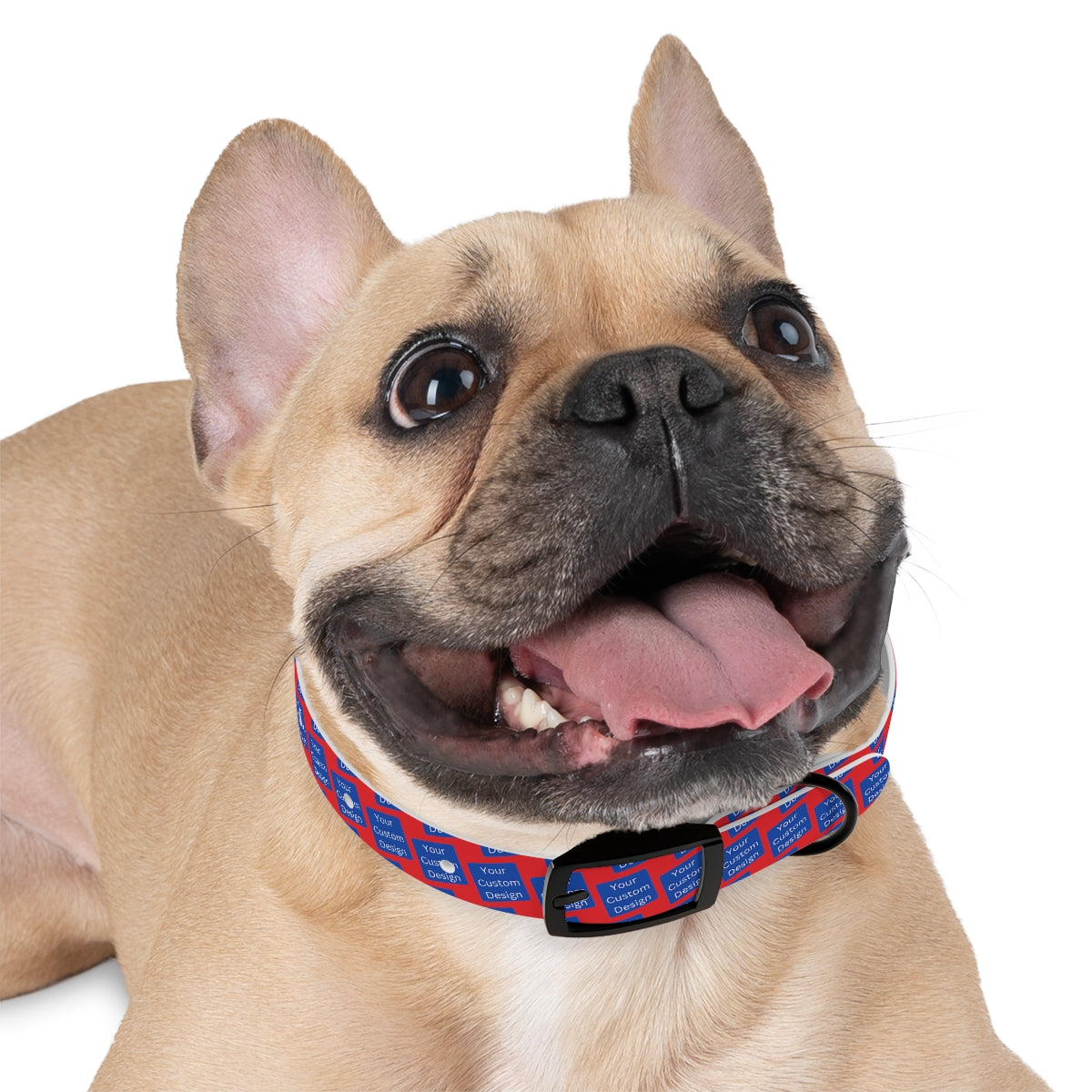 Customizable Dog Collar