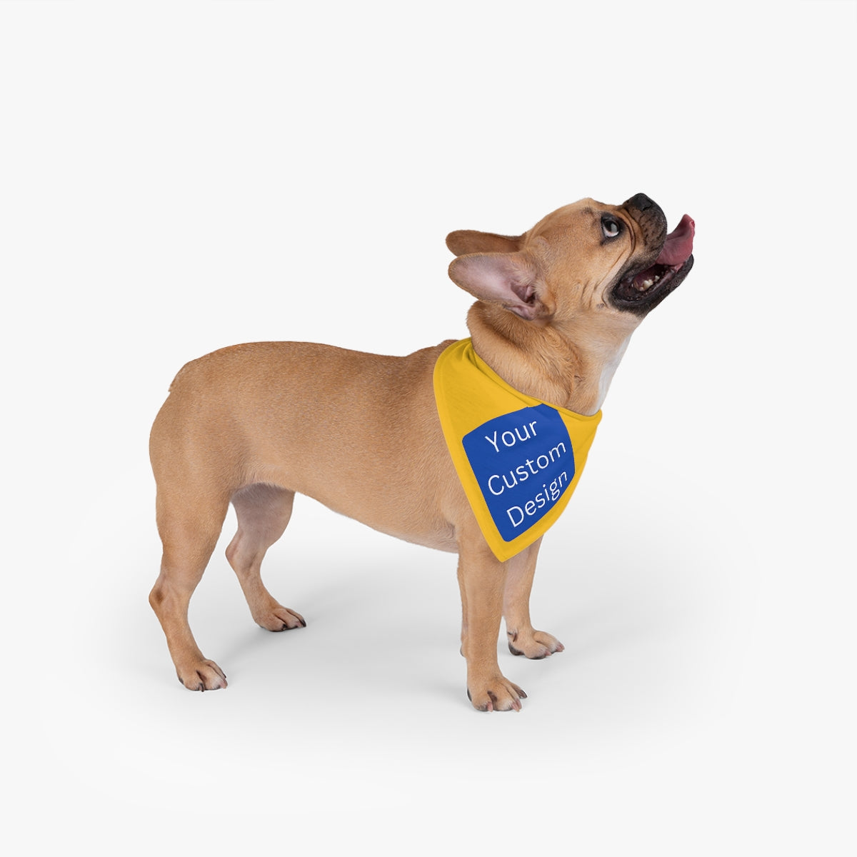 Customizable Pet Bandana