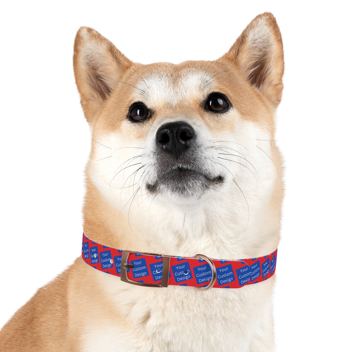 Customizable Dog Collar