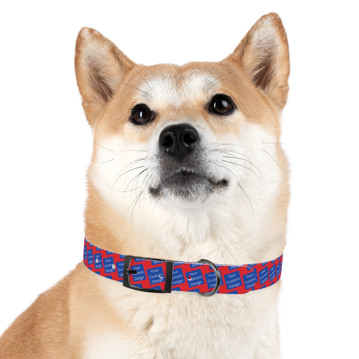 Customizable Dog Collar