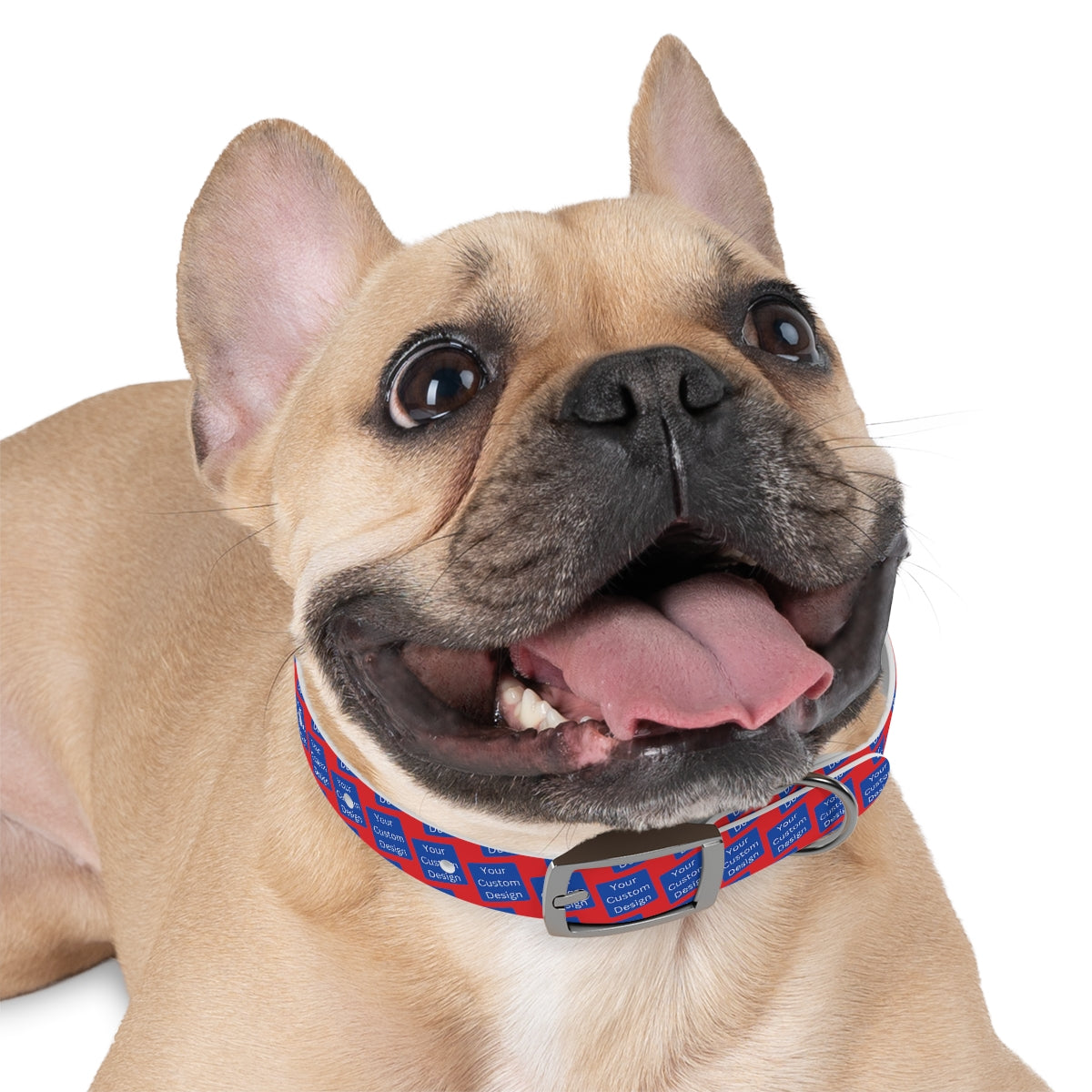 Customizable Dog Collar