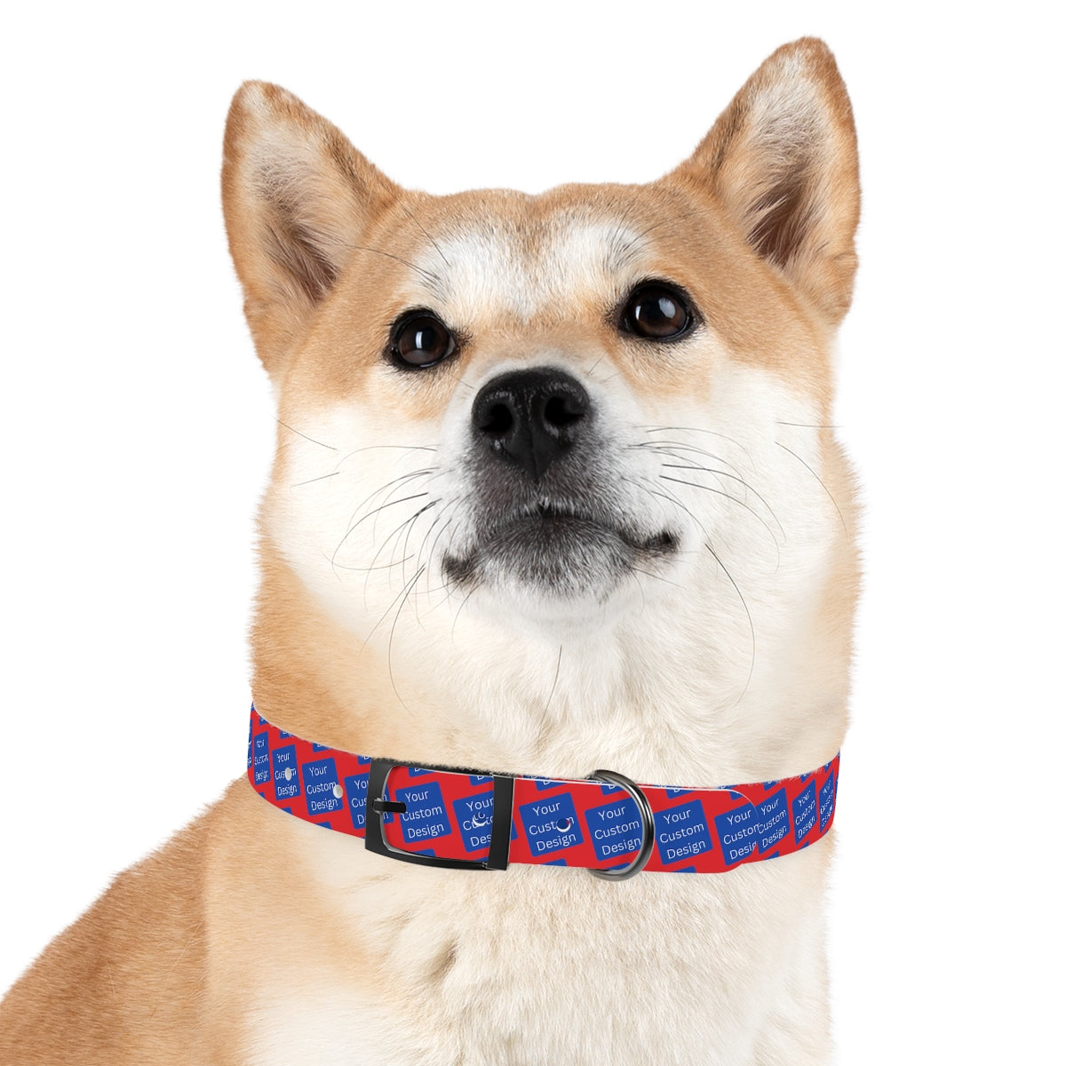 Customizable Dog Collar